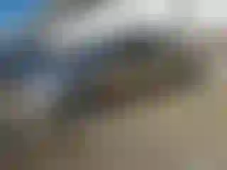 Vehicle Image- 2004 Toyota Prius