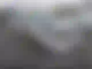 Vehicle Image- 2004 Toyota Prius