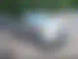 Vehicle Image- 2005 Toyota Prius