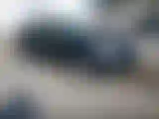 Vehicle Image- 2005 Toyota Prius