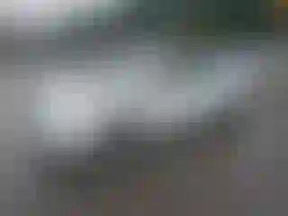 Vehicle Image- 2005 Toyota Prius