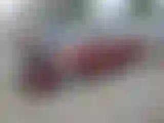 Vehicle Image- 2005 Toyota Prius