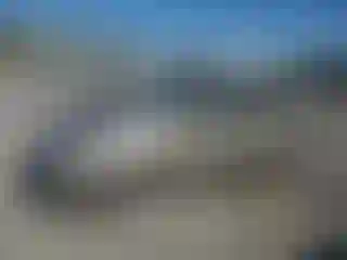 Vehicle Image- 2005 Toyota Prius