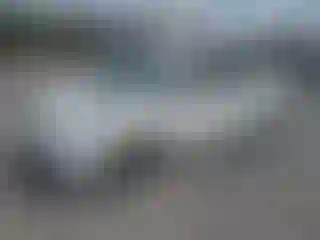 Vehicle Image- 2005 Toyota Prius