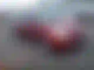 Vehicle Image- 2005 Toyota Prius