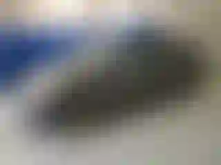 Vehicle Image- 2006 Toyota Prius