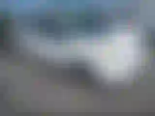 Vehicle Image- 2006 Toyota Prius