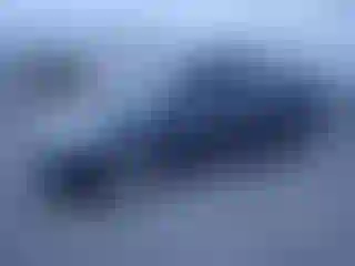 Vehicle Image- 2007 Toyota Prius