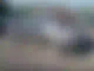 Vehicle Image- 2007 Toyota Prius