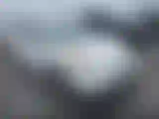 Vehicle Image- 2007 Toyota Prius