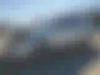 Vehicle Image- 2007 Toyota Prius