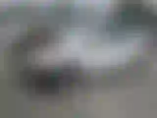 Vehicle Image- 2007 Toyota Prius