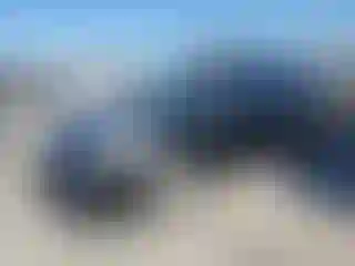 Vehicle Image- 2007 Toyota Prius