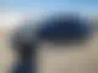 Vehicle Image- 2007 Toyota Prius