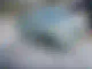 Vehicle Image- 2007 Toyota Prius