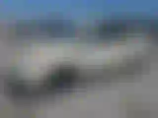Vehicle Image- 2007 Toyota Prius