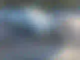 Vehicle Image- 2008 Toyota Prius