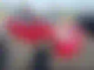 Vehicle Image- 2008 Toyota Prius