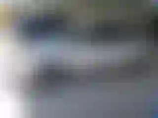 Vehicle Image- 2008 Toyota Prius
