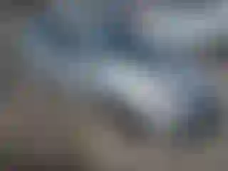 Vehicle Image- 2008 Toyota Prius