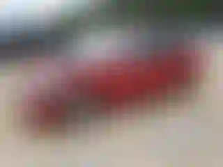 Vehicle Image- 2008 Toyota Prius