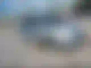 Vehicle Image- 2008 Toyota Prius