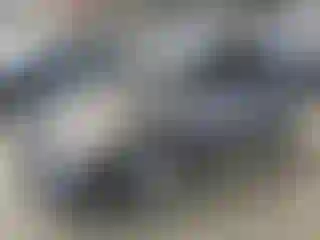 Vehicle Image- 2008 Toyota Prius