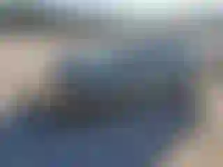 Vehicle Image- 2008 Toyota Prius