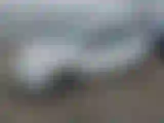 Vehicle Image- 2008 Toyota Prius