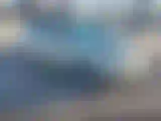 Vehicle Image- 2008 Toyota Prius