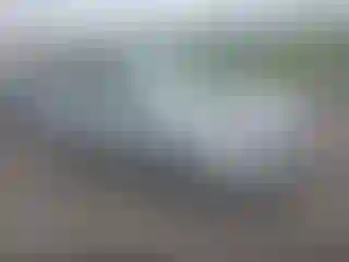 Vehicle Image- 2008 Toyota Prius