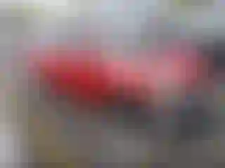 Vehicle Image- 2009 Toyota Prius