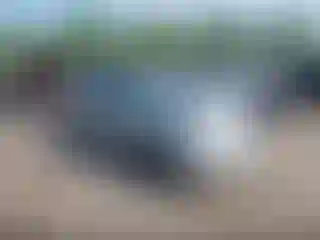 Vehicle Image- 2009 Toyota Prius