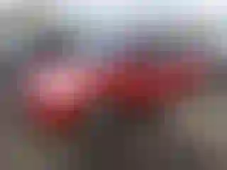 Vehicle Image- 2009 Toyota Prius
