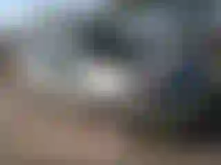 Vehicle Image- 2009 Toyota Prius