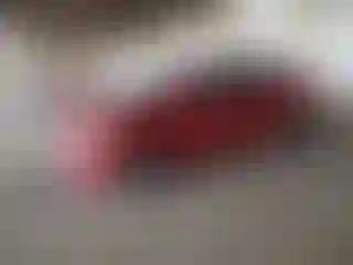 Vehicle Image- 2009 Toyota Prius