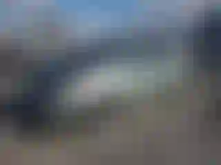 Vehicle Image- 2009 Toyota Prius