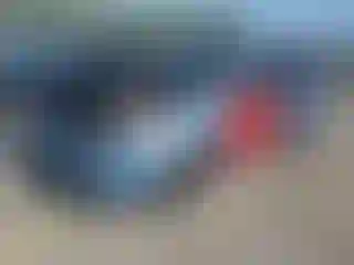 Vehicle Image- 2004 Toyota Prius