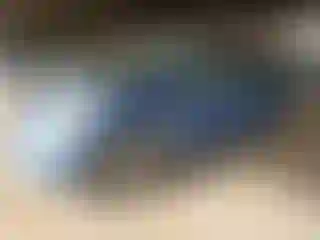 Vehicle Image- 2004 Toyota Prius