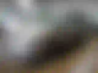 Vehicle Image- 2004 Toyota Prius