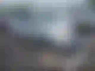 Vehicle Image- 2006 Toyota Prius