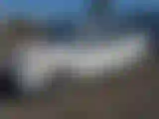 Vehicle Image- 2004 Toyota Prius