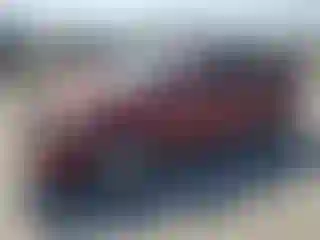 Vehicle Image- 2004 Toyota Prius