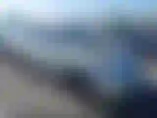 Vehicle Image- 2004 Toyota Prius