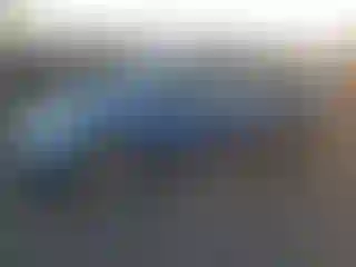 Vehicle Image- 2004 Toyota Prius