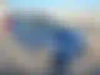 Vehicle Image- 2006 Toyota Prius