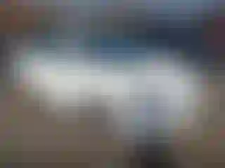 Vehicle Image- 2005 Toyota Prius