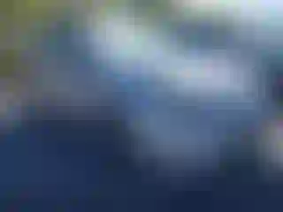 Vehicle Image- 2017 Toyota Prius
