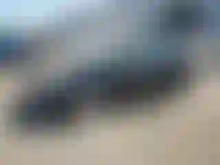 Vehicle Image- 2017 Toyota Prius