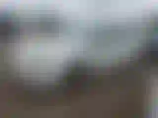 Vehicle Image- 2017 Toyota Prius